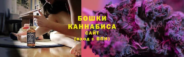 spice Болотное