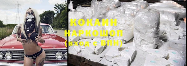 spice Болотное
