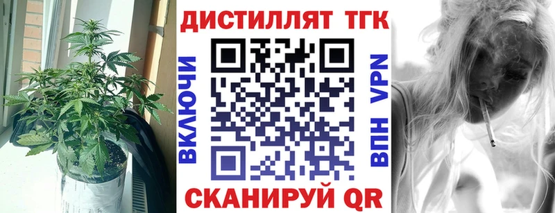 Купить  Кинель  ТГК концентрат 